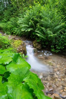 Joserbach stream