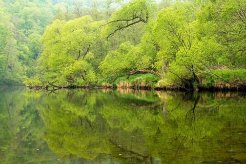 River Thaya