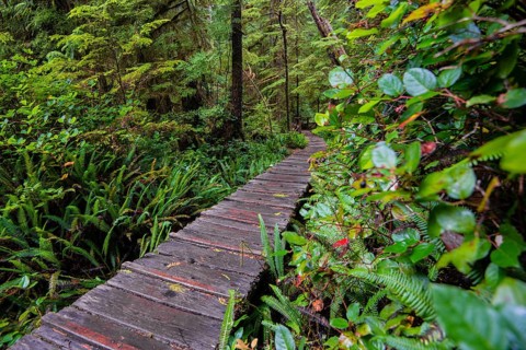 Boardwalk