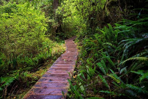 Boardwalk