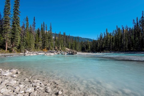 Kicking Horse River