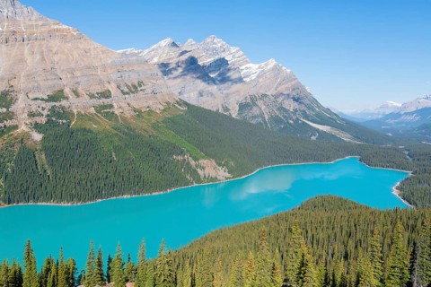 Turquoise glacier Peyto Lake