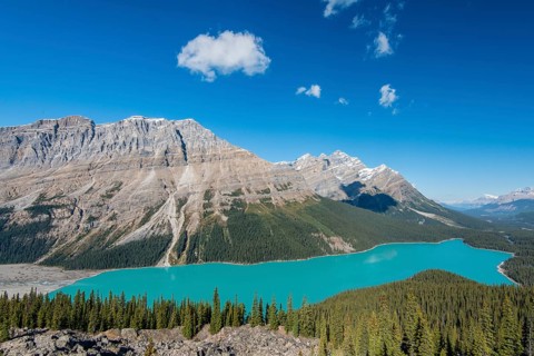 Turquoise glacier Peyto Lake