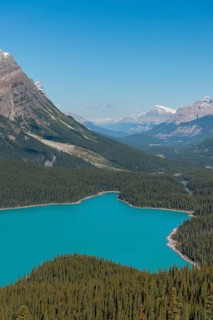 Turquoise glacier Peyto Lake
