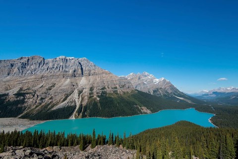 Turquoise glacier Peyto Lake