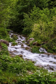 Sources at Steyrursprung