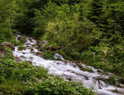 Sources at Steyrursprung