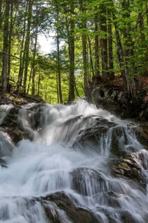 Waterfall in the Dr. Vogelgesang gorge at the Trattenbach