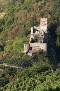 Hinterhaus castle ruins