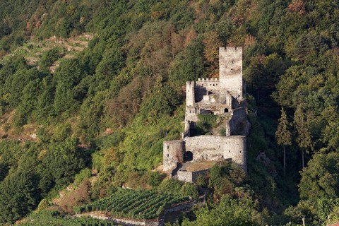 Hinterhaus castle ruins