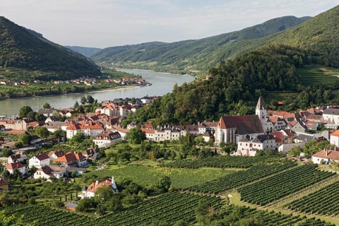 View over vineyards to Spitz an der Donau