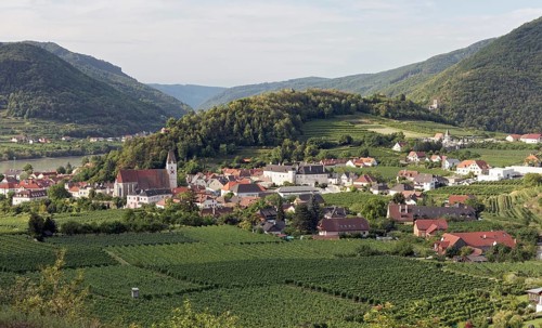 View over vineyards to Spitz an der Donau