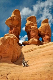 Sandstone rocks on petrified sandstone dunes