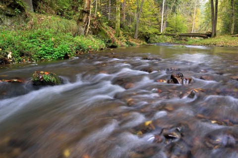 Course of the Polenz river through the Polenz valley