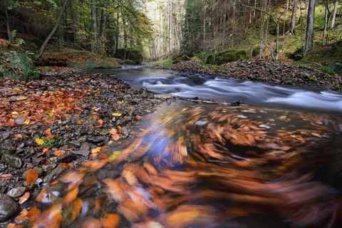 Course of the Polenz river through the Polenz valley
