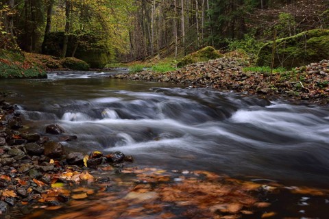 Course of the Polenz river through the Polenz valley