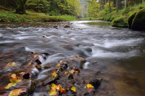Course of the Polenz river through the Polenz valley