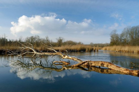 Sunny winter landscape