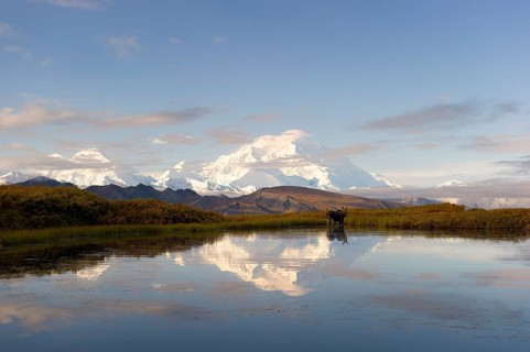 Mount Denali reflected in lake
