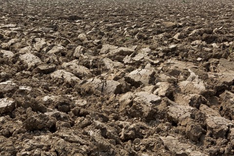 Freshly plowed field in spring
