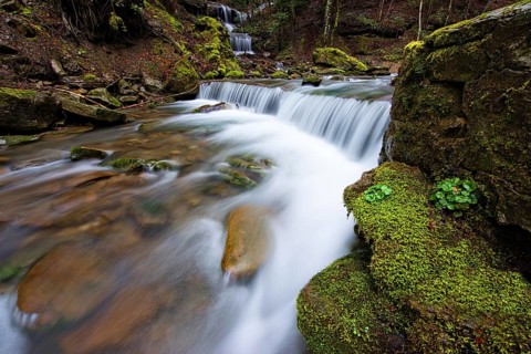 Waterfall in the forest
