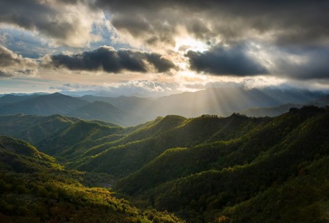 Rays of light on the forests in the Apennines after a storm