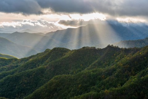 Rays of light on the forests in the Apennines after a storm