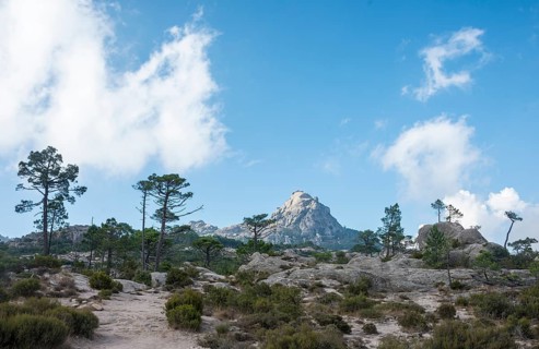 Walking path to Piscia di Gallo
