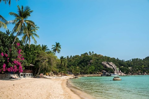 Sandy beach