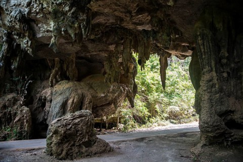 Road through jungle stalactite cave
