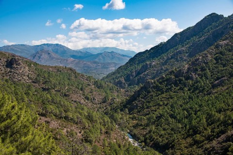 Tavignano river valley