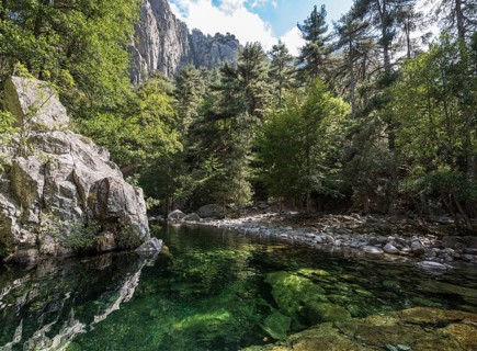 River Tavignano