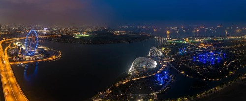 Ferris wheel and Gardens by the Bay