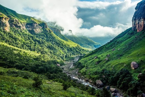 Green scenery along Tugela river