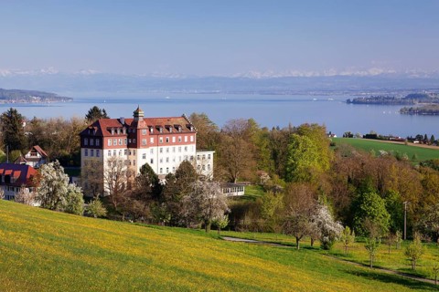View of Spetzgart Castle over Lake Constance to the Alps