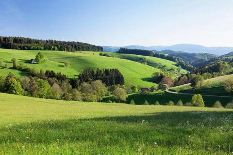 Spring in Glottertal