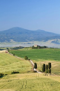 Tuscan landscape with cypress trees