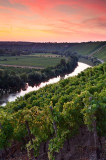 Neckar