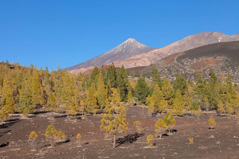 Pico del Teide and Pico Viejo