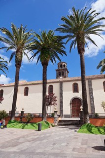 Palm trees in front of the Church of Our Igelsia de la Conception