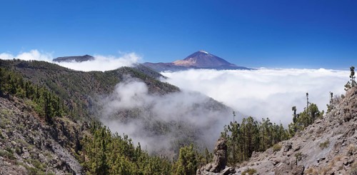 Volcano Pico del Teide above the trade wind clouds