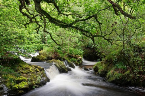 River Aira