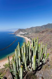 Beach Playa de las Teresitas