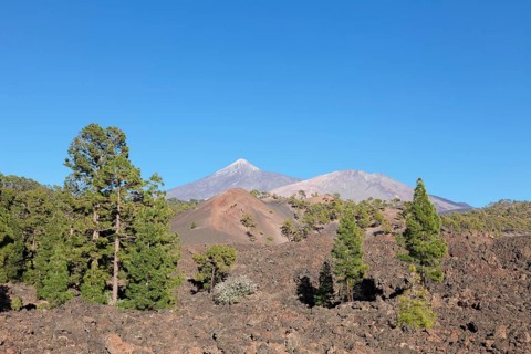 Lava with view of the volcanoes Teide and Pico Viejo