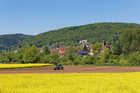 View of Sackenbach