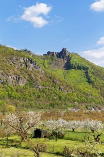 Aggstein castle ruins