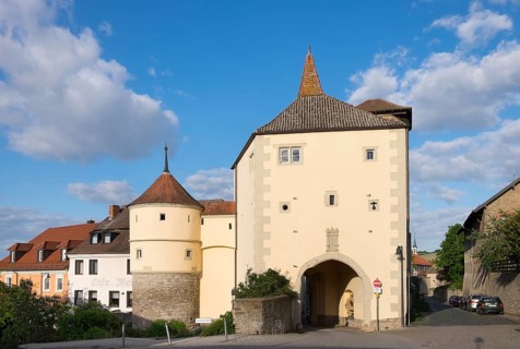Faltertor gate