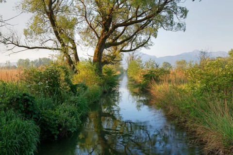 Moat near lake Chiemsee