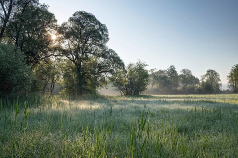 Morning atmosphere