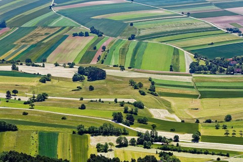 Fields